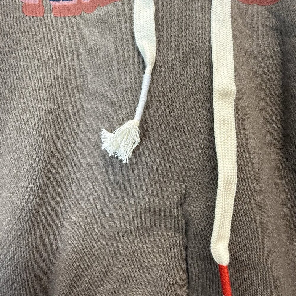 Wildfox Who Dis Harley Graphic Fleece Hoodie Taupe Gray Boxy Raw Hem Size XL NWT - Picture 5 of 16
